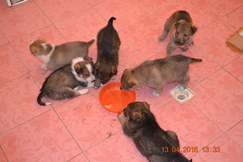 DSC_9159.JPG