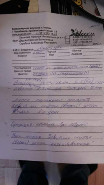 14анаправление.jpg