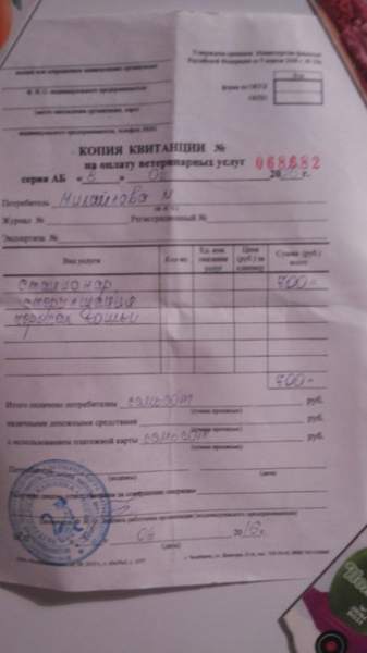 чек2.jpg