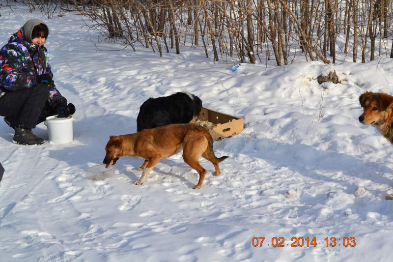 DSC_3302.JPG