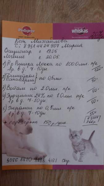 май16 почки.jpg