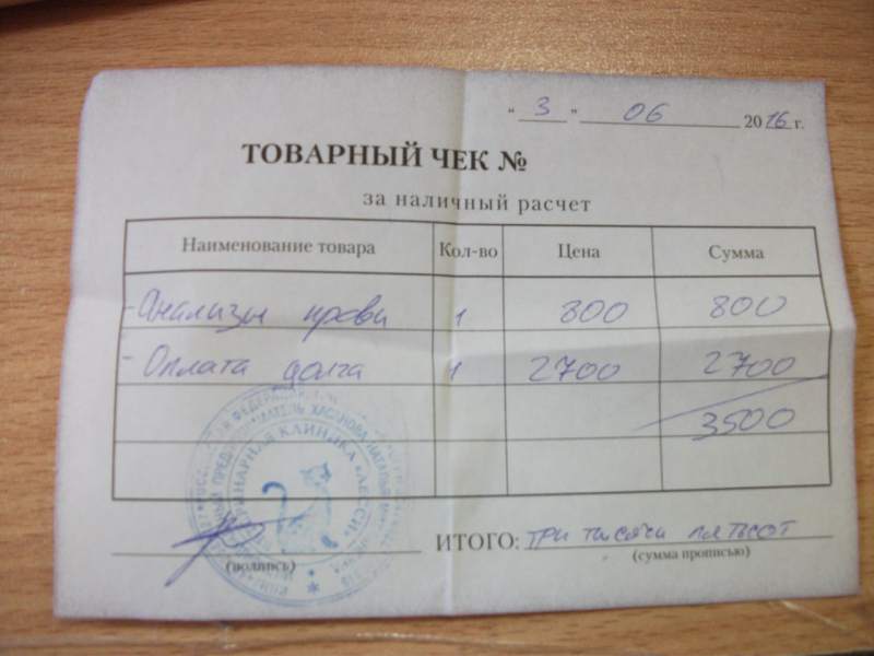 чек 03.06 скиф.jpg