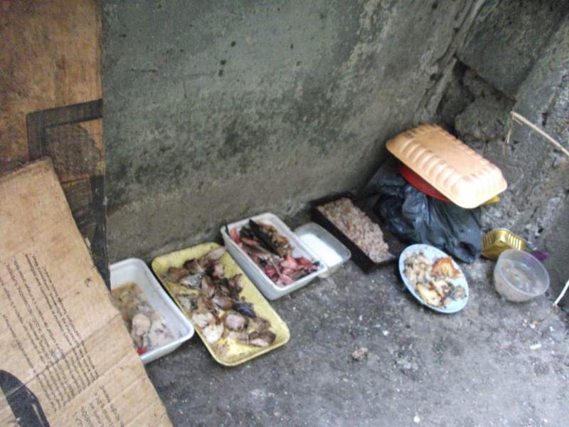 DSCF1476.JPG