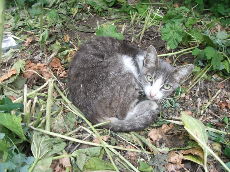 DSCF1499.JPG