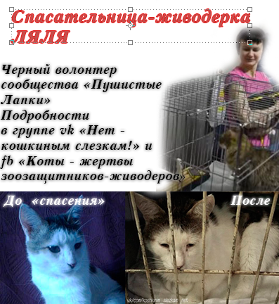ляля.PNG