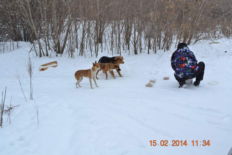 DSC_3348.JPG