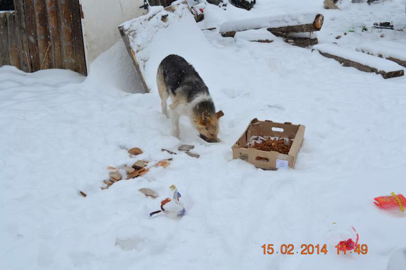 DSC_3355.JPG