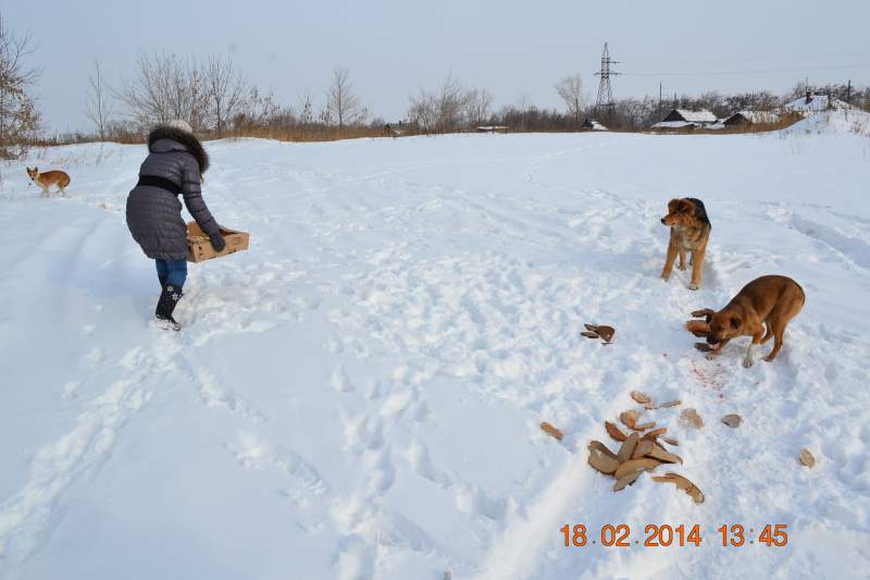 DSC_3367.JPG