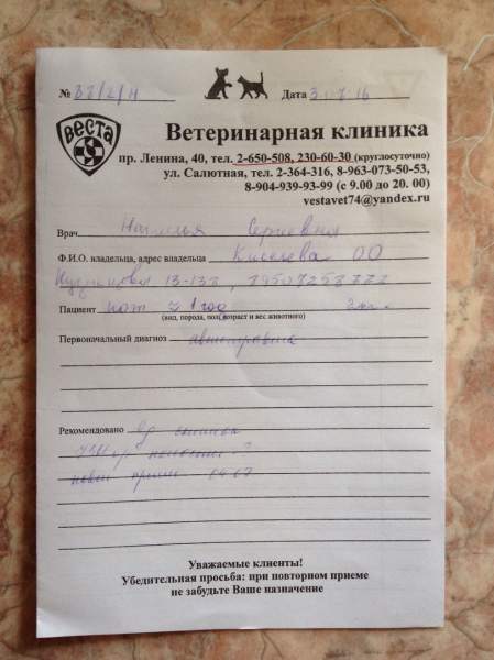 данеке2.jpg