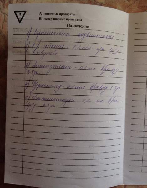 данеке3.jpg