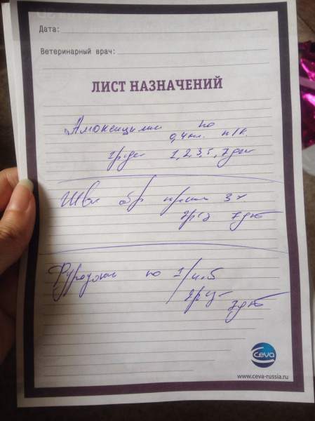 данеке7.jpg