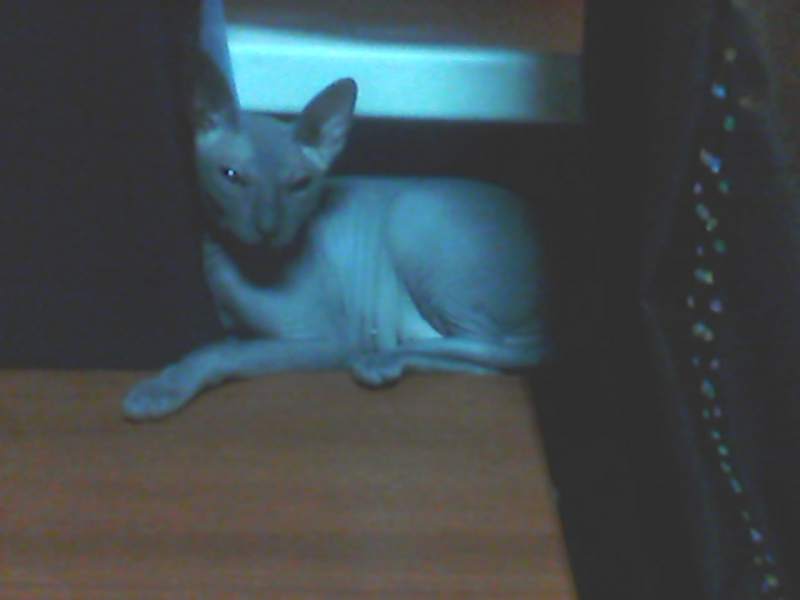 IMG0057A.jpg