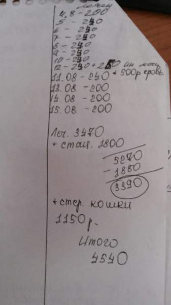 15.08 оплата.jpg