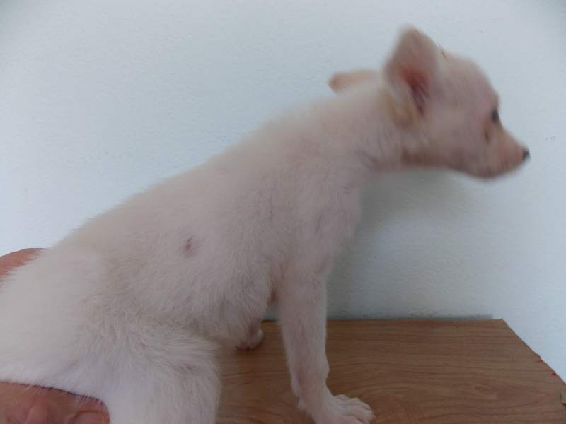 DSCN7941.JPG