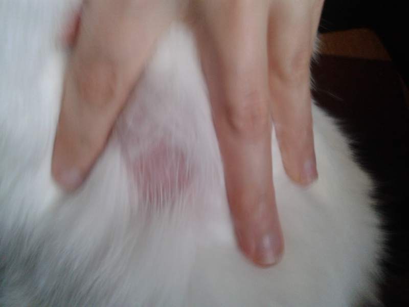 20160819_163251.jpg