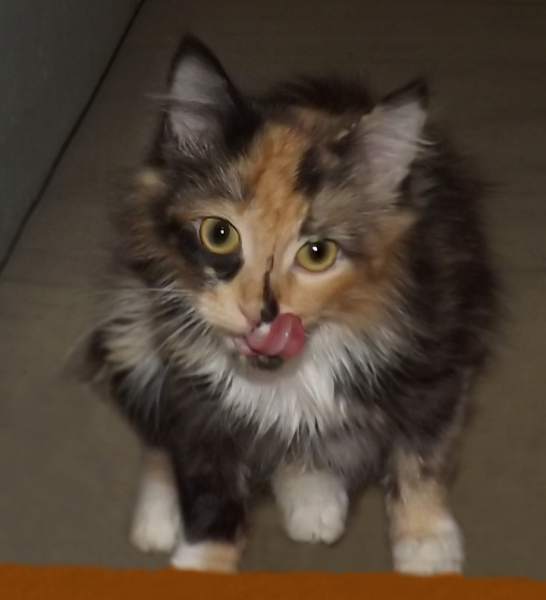 DSCF8553.JPG