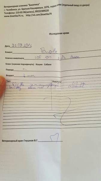 QwP16CTLqP8.jpg
