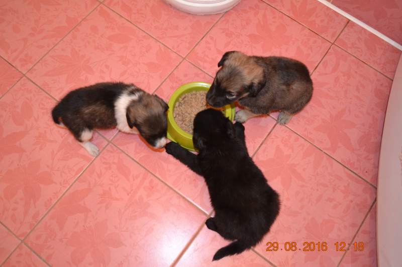 DSC_9545.JPG