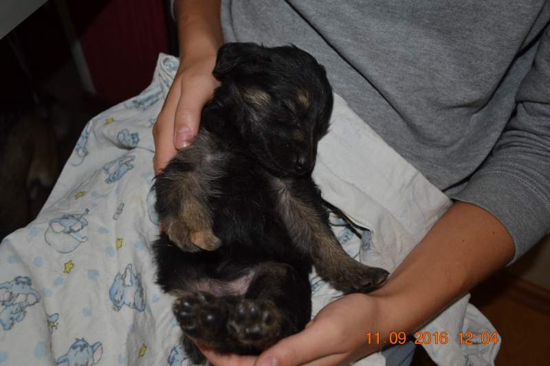DSC_9611.JPG