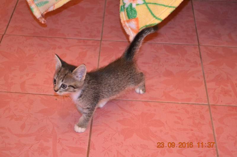 DSC_9652.JPG
