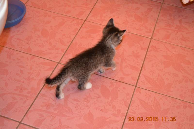 DSC_9649.JPG