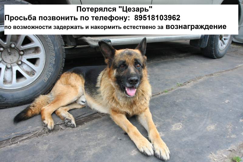 текст.jpg