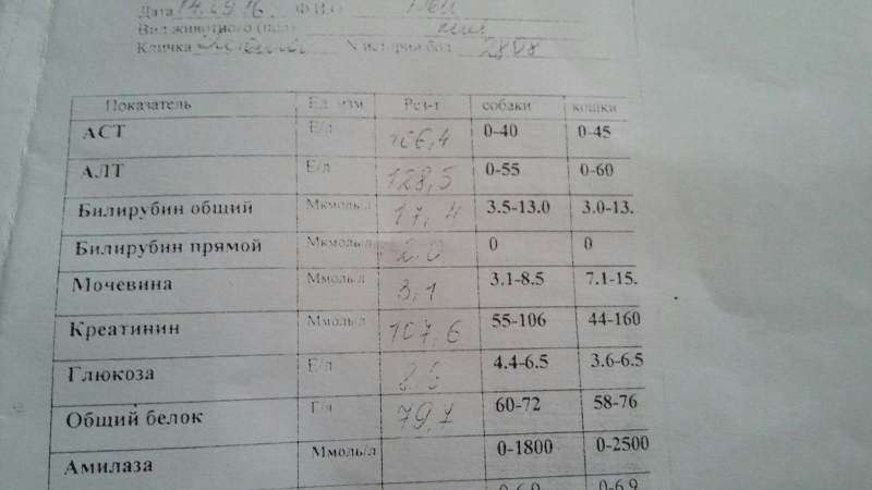 анализ 1.jpg