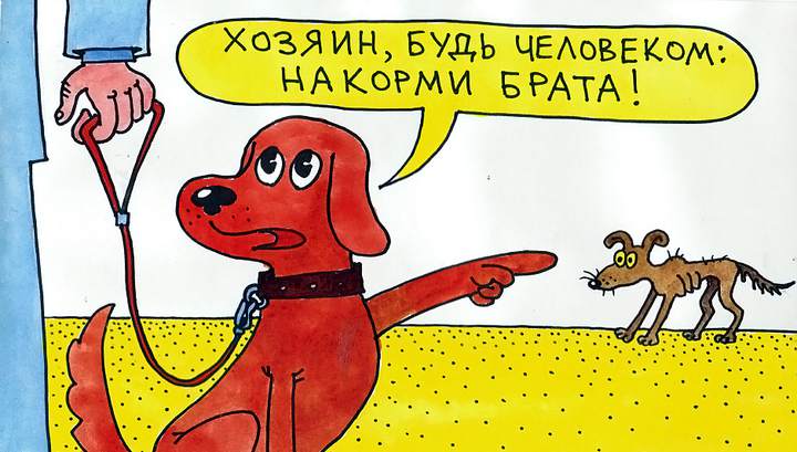 xw_1019774.jpg