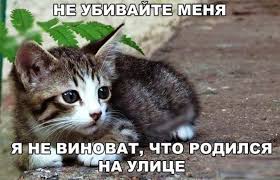 images.jpg