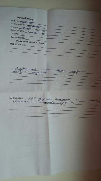 узи 210.10.jpg