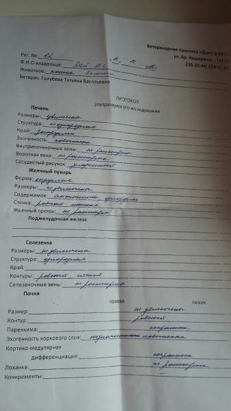 узи10.10.jpg