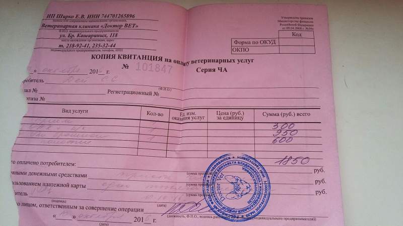 квитанция 10.10.2016.jpg