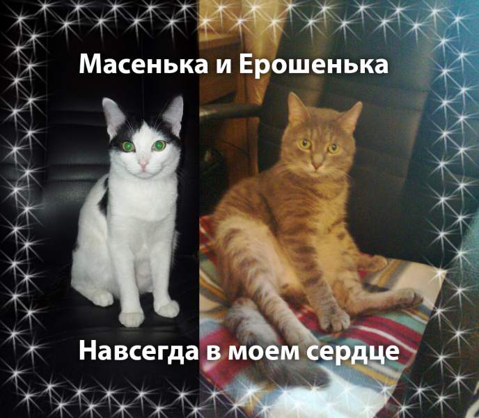 ^6E7D1104D8E7B475D2337794FEED47D86D5EFD2C37DECA8686^pimgpsh_fullsize_distr.jpg