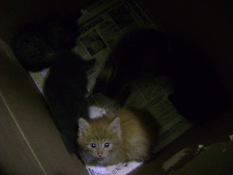 DSC02495.JPG