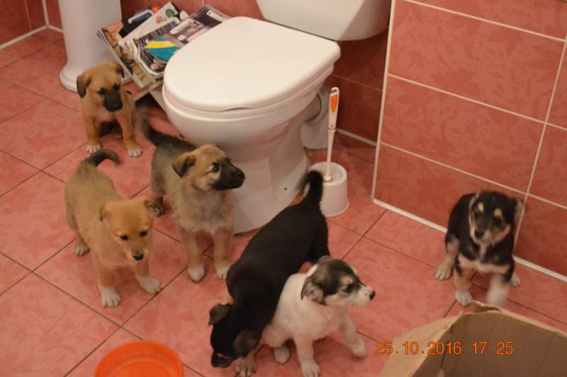 DSC_9826.JPG