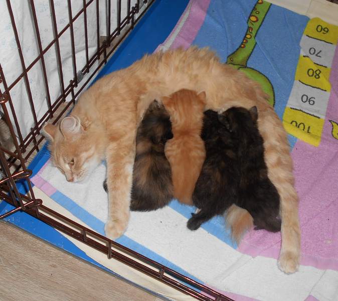 DSCN0719.JPG