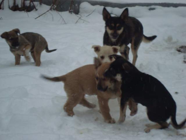 DSC00931.JPG