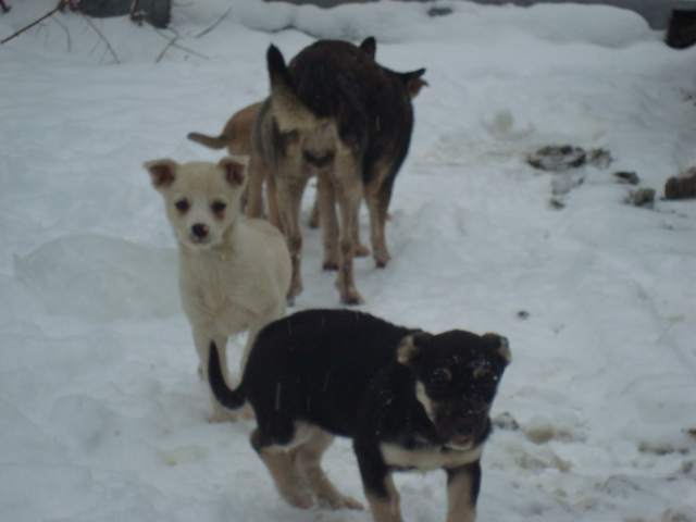 DSC00932.JPG