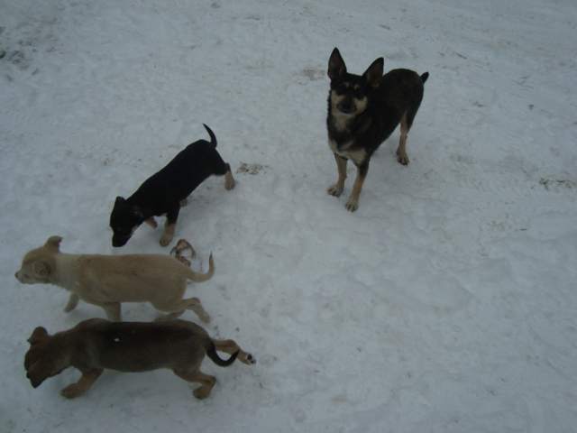 DSC00927.JPG