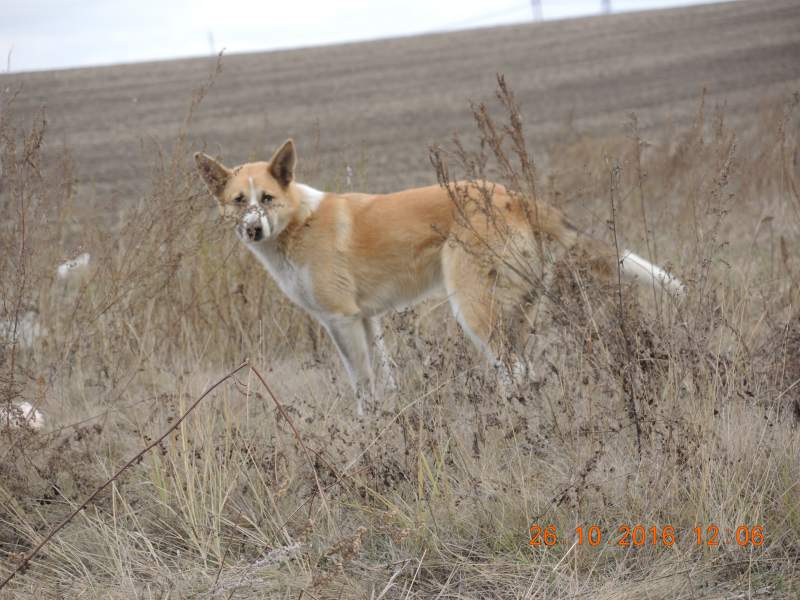 DSCN4114.JPG