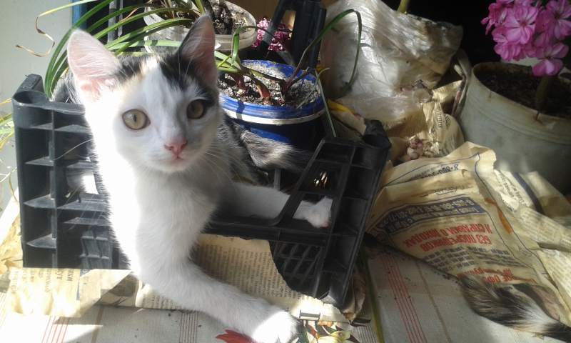 20160831_132712.jpg