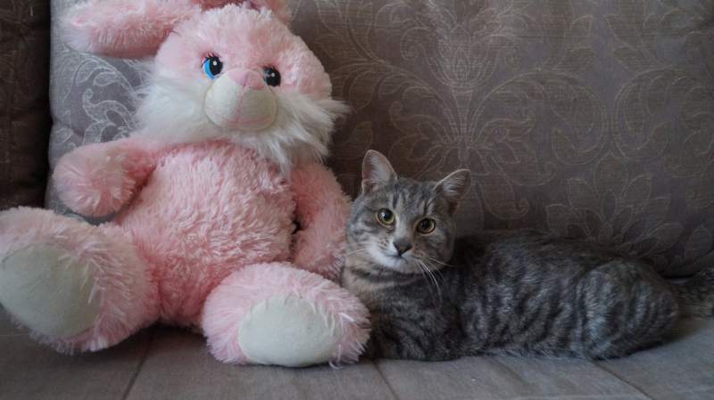 Тима.jpg