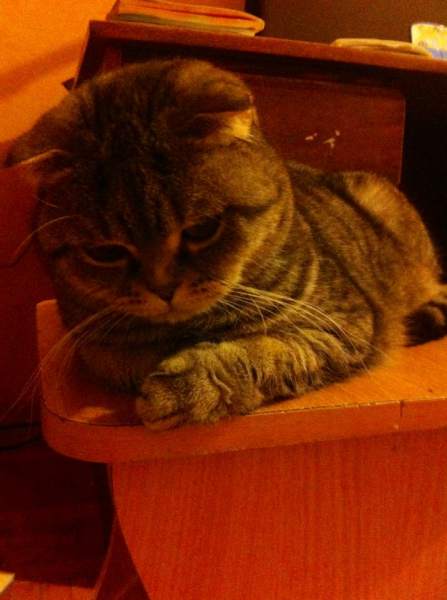 IMG-20161129-WA0013.jpg