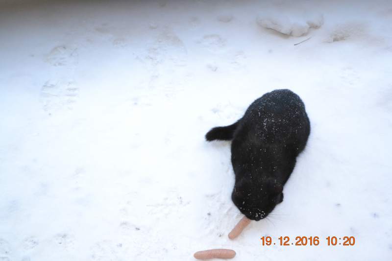 DSC_0108.JPG