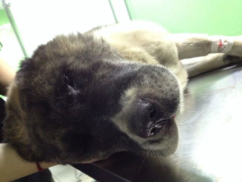 -K9tSYYYr2s.jpg