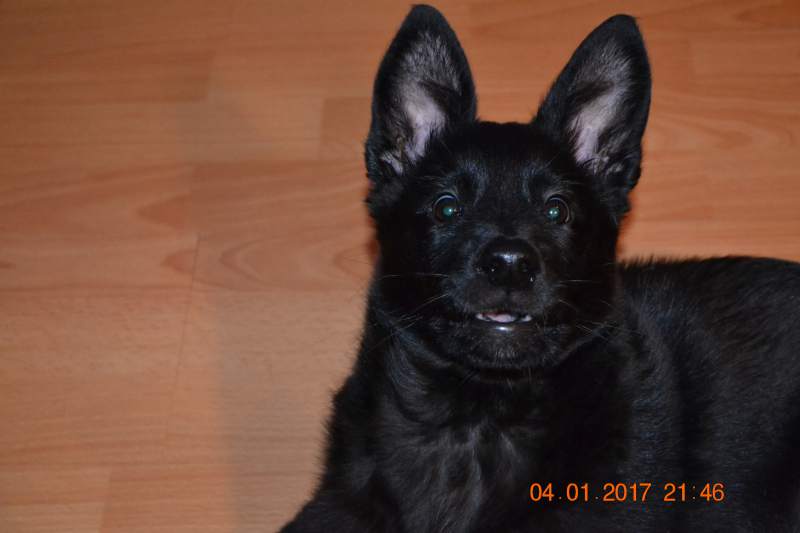 DSC_0304.JPG