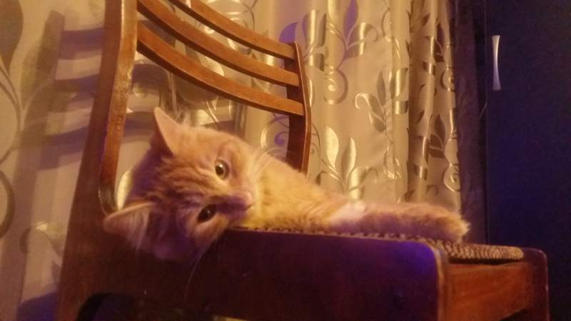 20170103_214146.jpg