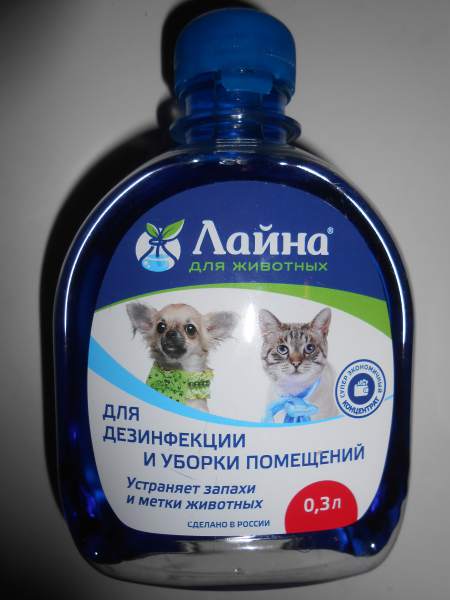 DSCN6186.JPG