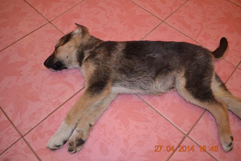 DSC_3788.JPG