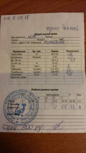 ан1.jpg